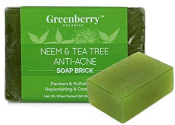 Greenberry Organics Neem & Tea Tree Anti-Acne Soap