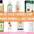 best face toners for large pores and oily skin