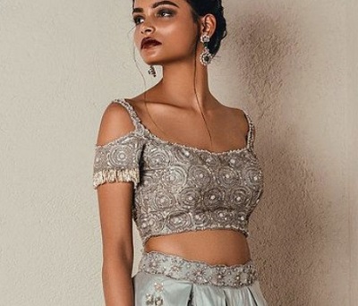 Embellished Lehenga and saree blouse